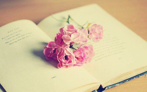 默默点头·卷帘格《猜一数学词语》