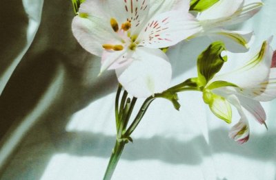 “无币不相见” 《环保词语一》