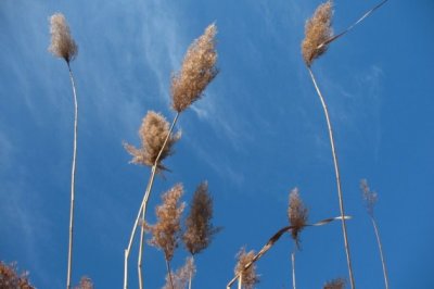 机会不待人_错过不再来《猜一灯谜用语》