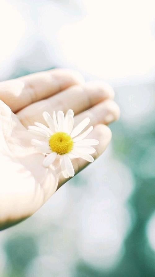 独尊泰山 《金庸小说人物》