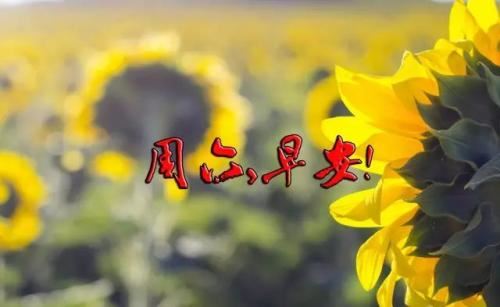 过于迂腐 《环保词语一》