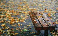 中国在改革中 《九画单字》