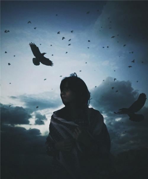 见死不救 《3字称谓》