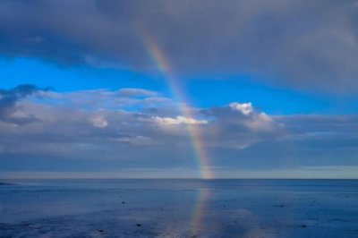 相对定无言　《猜品牌》