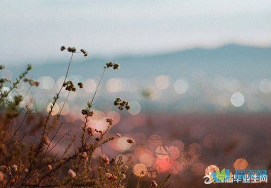 猜谜语题目:方留恋处,兰舟催发《打一个人物名》