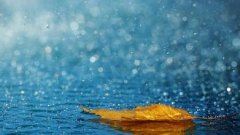 步入小康道 《数学名词》