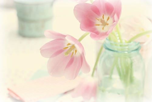 “唯有功名忘不了”、“唯有娇妻忘不了” 《四字香港影片一》