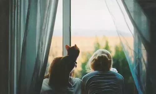 归来团聚众欢笑　双钩《猜4字世贸谈判术语》