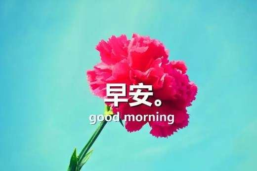 安乐死 《骊珠》