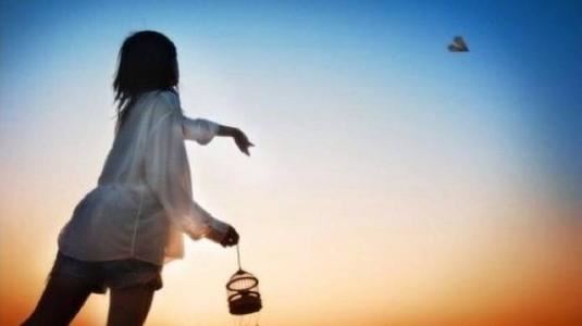 瞳孔遇光能大小_唱起歌来妙妙妙_夜半巡逻不需灯_四处畅行难不倒-《猜一动物》