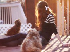 长春子授徒　徐妃格《猜动物名一》