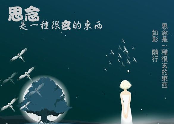 四渡赤水名扬四方 《央视体育记者_粉颈格》