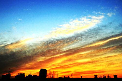 头插花翎翅_身穿彩旗袍-终日到处游_只知乐逍遥《猜一动物》