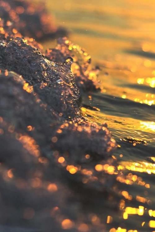 有关春节的谜语大全