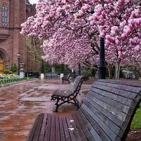 高不成_低不就 《骊珠》