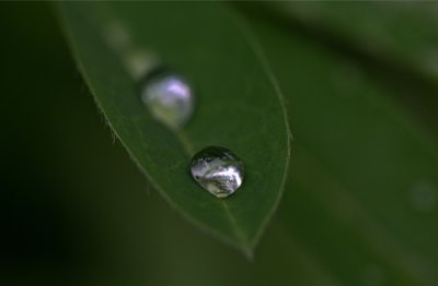 老中青 《五字俗语》