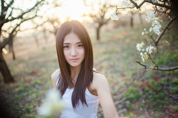 望断南飞雁《猜一日常用语》