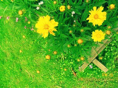 若比起汝老婆还老_讨到后迟早得分开-　《猜多字成语_3+3》