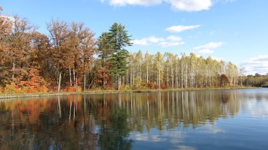 鼓上蚤经常讲_没命令莫下手 《3字口语三》