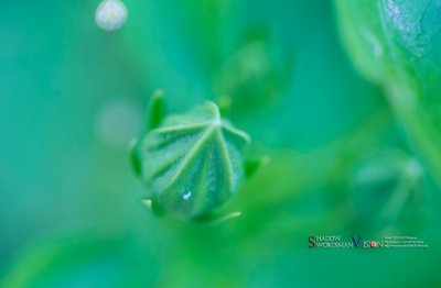 阿基米德原理首先说明何事《猜一数学词语》