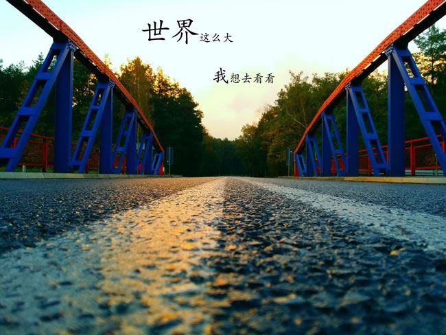 总司令久经考验 《镇领导》