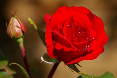 天天《猜一字谜》