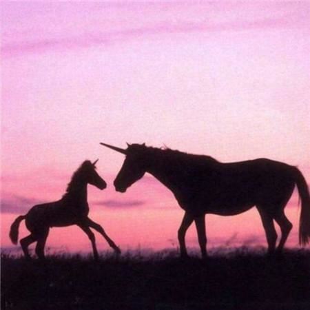 乳燕展翅初出笼 《四宇新词》