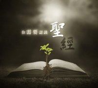 释放前无须干活 《八常》