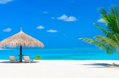 处处草坪绿茵_希望大家爱护 《双骊双珠》