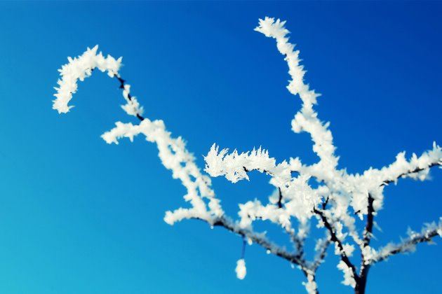 招其入蜀　《猜NBA球员二》