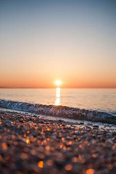 独耳老翁发苍苍《猜泊浑一》