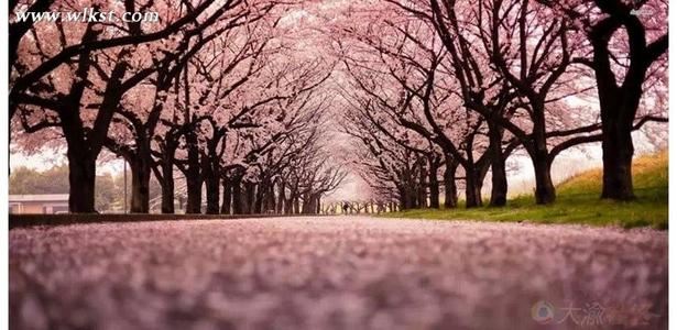 座上查行囊　掉首格《猜足球术语一》