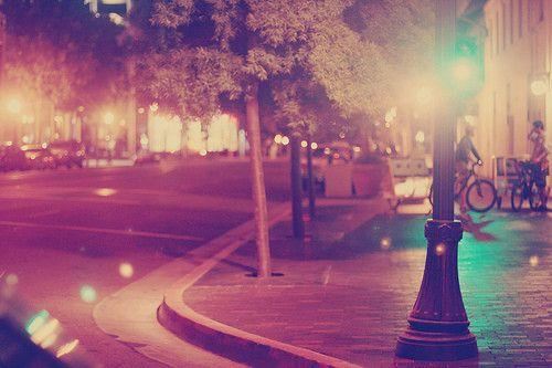 猜谜语题目:永远活在人间《打一个植物学词》