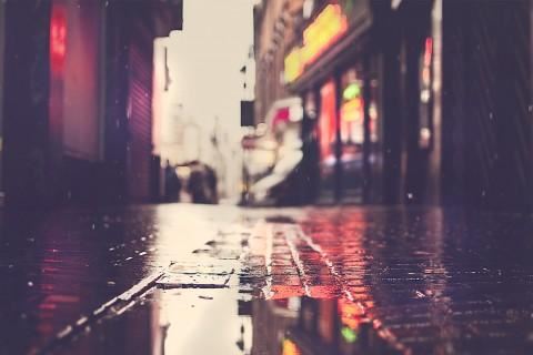 “田夫抛秧田妇接” 《骊珠》