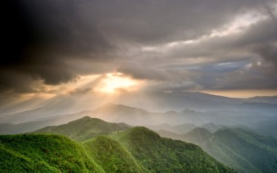 田地四裂收成少 《2字桥牌用语》