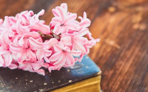 两旬喝酒知多少 《成语二》