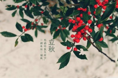 东家老头没有到 《罗大佑歌曲》