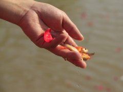 精於此道 《天文名词二》