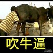 如果薄情寡义_就砸了你铺子 《五言李贺诗》