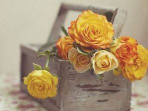 两头沉改床头柜 《二字口语》