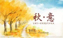 贾岛吟诗双泪流 《探骊》