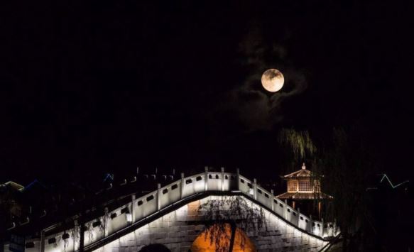 头上红冠不用裁_身披棉衣走将来-平生不敢轻言语_一叫前门万户开-《猜一动物》