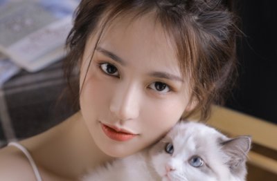 神州美景胜英法 《汽车牌号二》