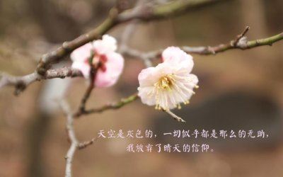 不愿出家 《词曲牌》