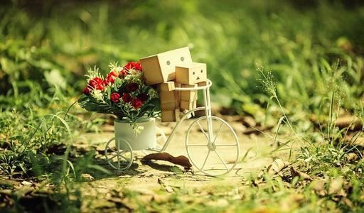 佳丽喜其率直 《骊珠》