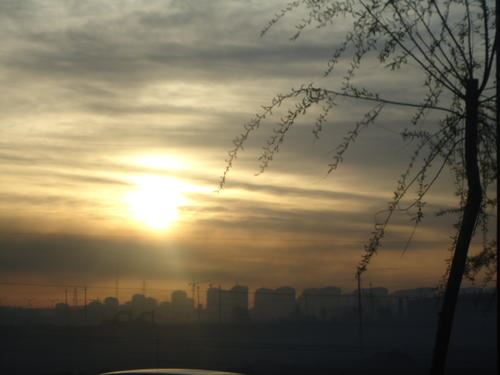 困在床上打老公 《宗教组织》