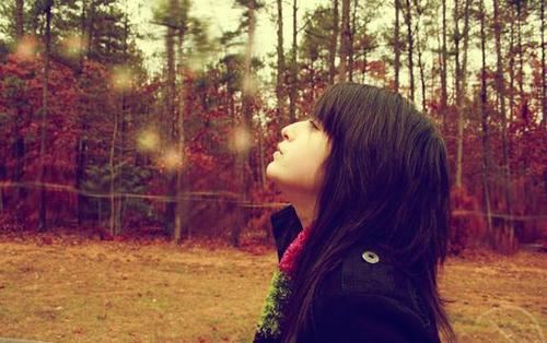 猜谜语题目:一望皆春色《打一个植物学》