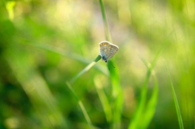 春晓 《称谓、职务一》