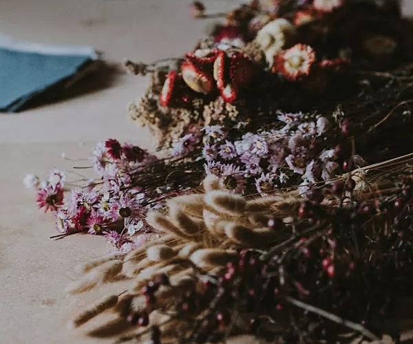 “零落成泥碾作尘”　《猜2字生活用语》