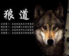 昨夜洞房停红烛 《灯谜术语》